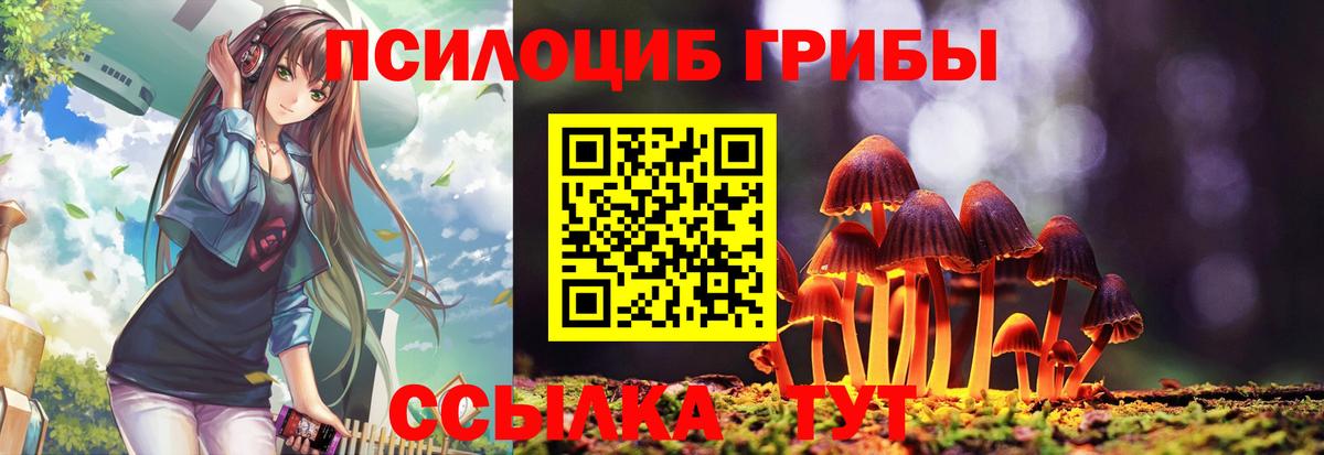 Псилоцибиновые грибы ЛСД  Галлюциногенные грибы прущие грибы  Вход с VPN  Михайловск 