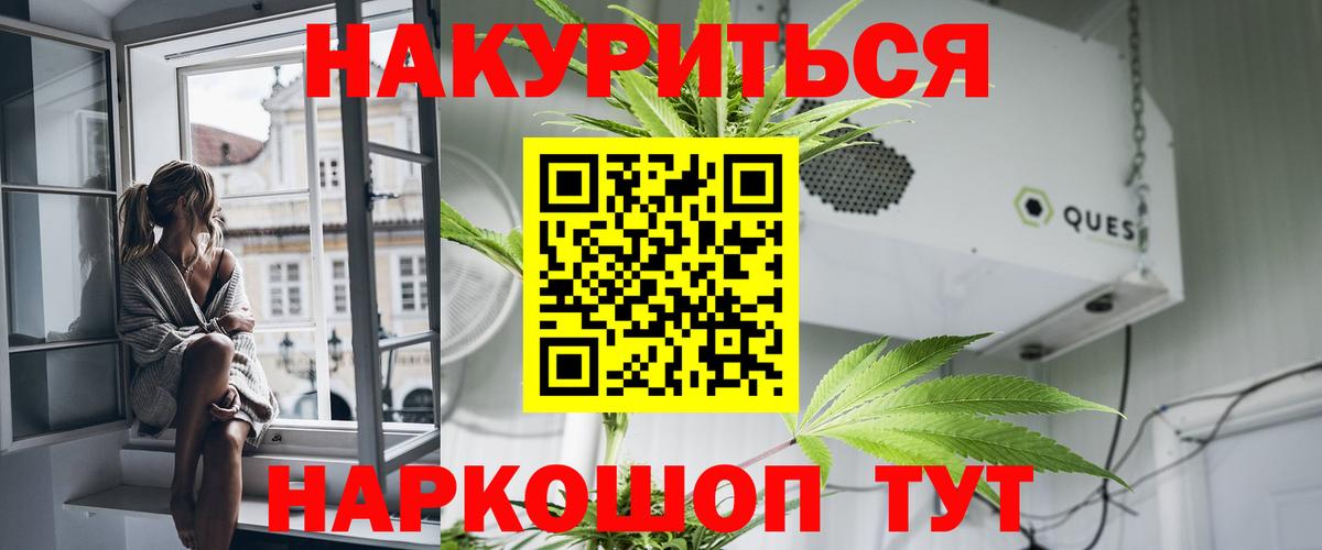 Канабис сатива Михайловск